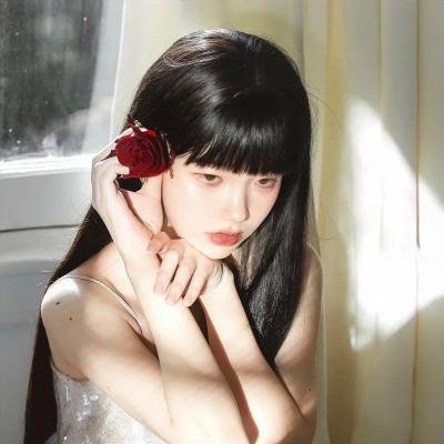 戆子记